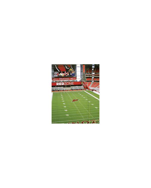 BetMGM Arizona — online casino and sportsbook